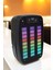 Kablosuz Bluetooth Hoparlör Taşınabilir 6.5 Inç LED Işık Kareoke 4