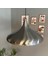 Champion Metal Renk Tekli Avize Sarkıt Salon Mutfak Butik Lamba Aydınlatma Avizeler 5