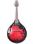 AMD11-E Elektro Mandolin 1