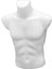 Beyaz Plastik Erkek Tors Mankeni, Şık ve Kullanışlı Tasarım 1