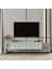 Capella Tv Ünitesi Mdf 120 cm Kapaklı Raflı 1