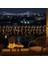 Güneş Enerjili Balkon Bahçe Peri LED 20 Metre S-20 3