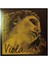 Evah Pirazzi Gold Medium Set Viyola Teli 425021 2