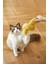 Burma Kedi Otlu Catnipli Kedi Oyuncağı 3