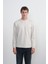Erkek Desenli Bisiklet Yaka Bol Krem Sweatshirt 1