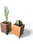 Ahşap Mini Saksılık, Masaüstü Saksılık, Saksı, Kaktüs Saksılık, 10X7X7CM 5