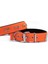 Doggie Konfor Dokuma Kemikli Boyun Tasması Turuncu 3.0*42-50 cm (DSBT-3062 M) 1