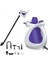 Yüksek Basınçlı Buharlı Temizleyici, Çok Amaçlı, Ev ve Araç Yüzeyi Dezenfektör 1