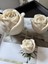 Grand Rose 3