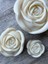 Grand Rose 8