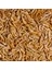 River Shrimps 1000 gr Kovadan Bölme 1