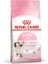 Kitten Yavru Kediler Için Kuru Kedi Maması 400g 11