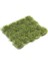 SC428 Jungle, 12 Mm. Hazır Çim Dokusu 1