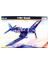 D205 1/72 F-4U-1A Corsair Savaş Uçağı Plastik Model Kiti 1