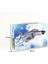 Pt7 7207 1/48 Ölçek, F-4ej Kaı Phantom Iı (Super Phantom), Savaş Uçağı Plastik Model Kiti 5
