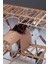 MU01 50031 1/16 Ölçek, Sopwith Camel F.1 Uçak, Plastik Model Kiti 4