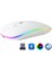 ZR215 CBA100 Rgb Beyaz Şarjlı Mouse 1