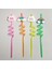 5 Parça Renkli Pipet Seti - Emojili Spiral Kokteyl- Çocuk Pipeti Temizleme Fırçalı 3