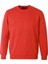 O Yaka 3 Iplik Şardonlu Kırmızı Erkek Sweatshirt 5012 1