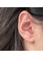 8 mm Düz Çelik Tragus Helix Piercing Rook Daith Silver Renk Ucu Toplu 11