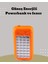 Depomix Güneş Paneli Destekli Powerbank ve LED Işıldak – 10000 Mah, Çift Usb, Outdoor Kullanım Için 1