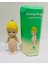 Sonny Angel Vegetable Sebze Serisi (Rastgele 1 Model Gönderilir) Yapışkanlı Kılıf Süsü Blind Kutu 5
