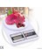LCD Ekranlı Mutfak Tartısı (4989) 1