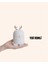 El Tipi USB Mini Soğuk Mist Nemlendirici 220 ML Tank 2