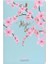 Sakura Hoper Defter 1