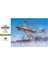 ST29 8879 1/32 Ölçek, P-40E Warhawk, Savaş Uçağı Plastik Model Kiti 1
