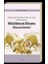 Başlangıçtan Mirdasilerin Sonuna Kadar Biladüş-Şamda Müslüman-Bizans Münasebetleri 1