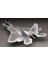 PT45 7245 1/48 Ölçek, F-22 Raptor, Savaş Uçağı Plastik Model Kiti 3
