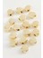 0,8 mm Istiridye Aparat 1 Adet 1