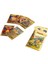 Pokemon Gold Trading Kart 10’lu Paket 5