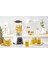 450W Çok Renkli 2 Kademeli Buz Kırma Smoothie Blender 7
