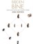 Birden Bine 1