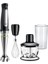 1000 W Güçlü Çok Fonksiyonlu Pratik Blender Seti, Şık Siyah Renk Seçeneği ile 1