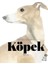 Köpek Kitabı - Resim Sanatında Köpekler 1