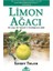 Limon Ağacı 1