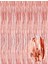 Rose Gold Püsküllü Kapı Perdesi - Parti, Bekarlığa Veda, Doğum Günü 1x2 M (4989) 1