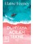 Dünyaya Açılan Tekne 1