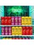 Mınty Melon Karpuz Nane Gazlı İçecek 250 ml x 8 Adet Ferahlatıcı ve Prebiyotik 6