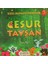 Cesur Tavşan 1