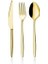 Gold Dine 18 Parça Tatlı | Kaşık/çatal Seti | Gold | 6 Kişilik | 18/10 Paslanmaz Çelik 1