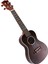 Ukulele Çıkartma Klavyesi Not Çıkartma Ukulele Yeni Başlayanlar Için 4pack (Yurt Dışından) 4