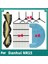 Danhui NR15 Kendiliğinden Boşalan Robot Süpürge Için 13 Adet Ana Yan Fırça Bezi Filtre Temizleyici Parça Değişimi (Yurt Dışından) 2