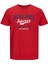 Logo Tee Ss O-Neck 2 Col Erkek Kırmızı Tshirt 12210819-17 2