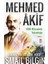 Mehmed Âkif - Milli Mücadele Yolculuğu 1