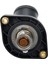 53020887AD Araba Motor Soğutma Suyu Termostatı Muhafazası Montajı (Yurt Dışından) 4