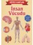 Eğitici Kartlar Insan Vücudu 1